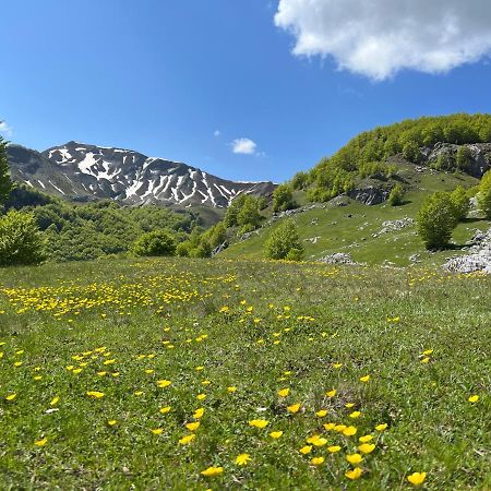 Guesthouse Alpini Lepushe Bagian luar foto