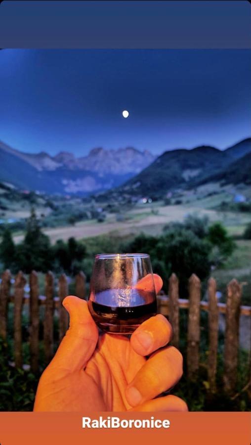 Guesthouse Alpini Lepushe Bagian luar foto