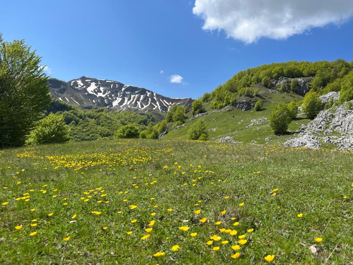 Guesthouse Alpini Lepushe Bagian luar foto