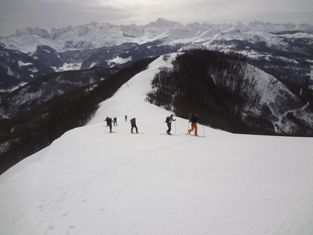 Guesthouse Alpini Lepushe Bagian luar foto