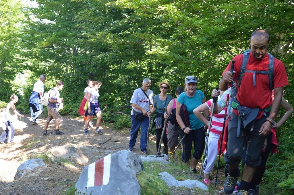 Guesthouse Alpini Lepushe Bagian luar foto