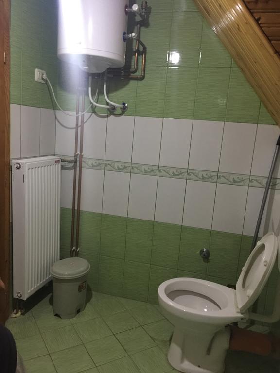 Guesthouse Alpini Lepushe Bagian luar foto