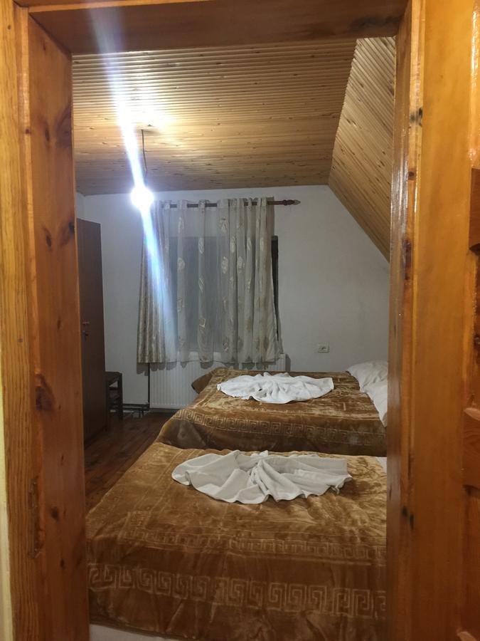 Guesthouse Alpini Lepushe Bagian luar foto